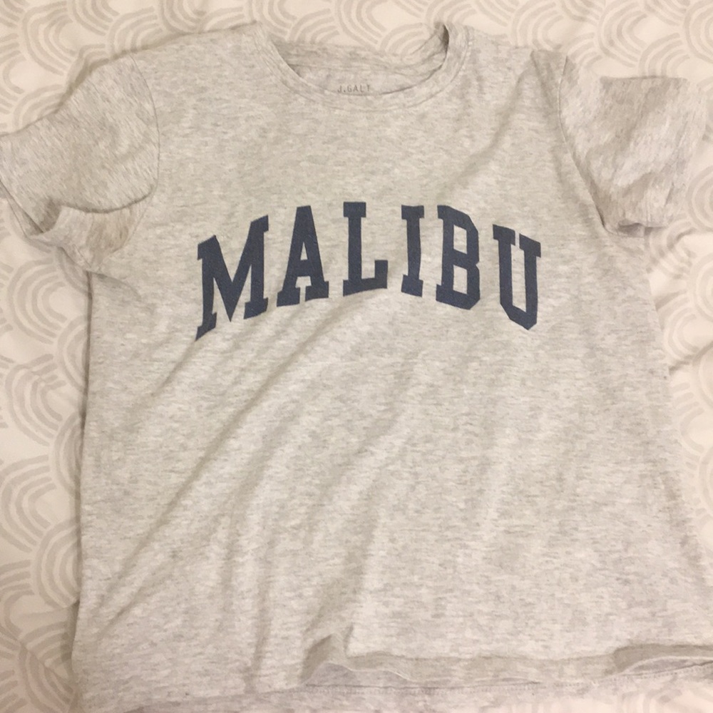 John Galt Brandy Melville Tiny Tee Gray